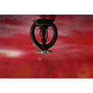 Water Based Fire Protection Systems